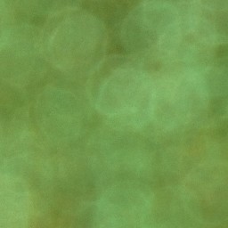 Bokeh-432